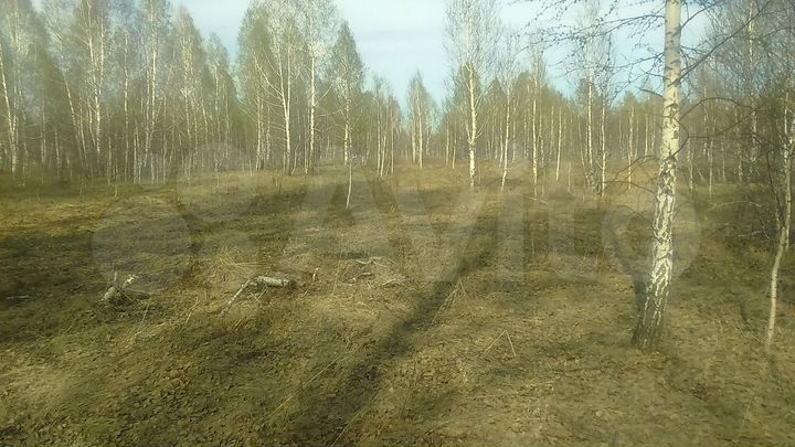 Участок 36 сот. (ИЖС)