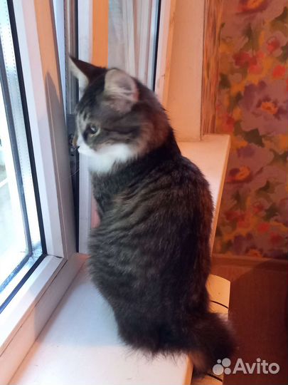 Мальчик 3 месяца