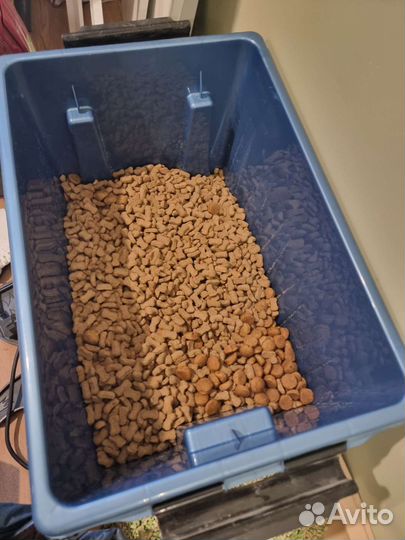 Сухой корм для собак крупных пород