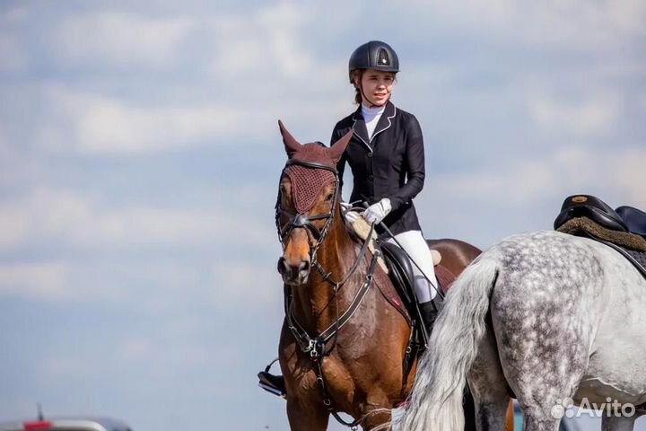 Обучение верховой езде