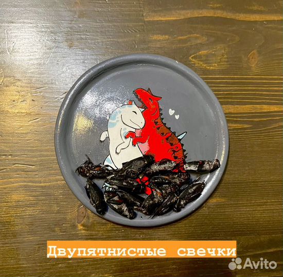 Замороженные насекомые корм