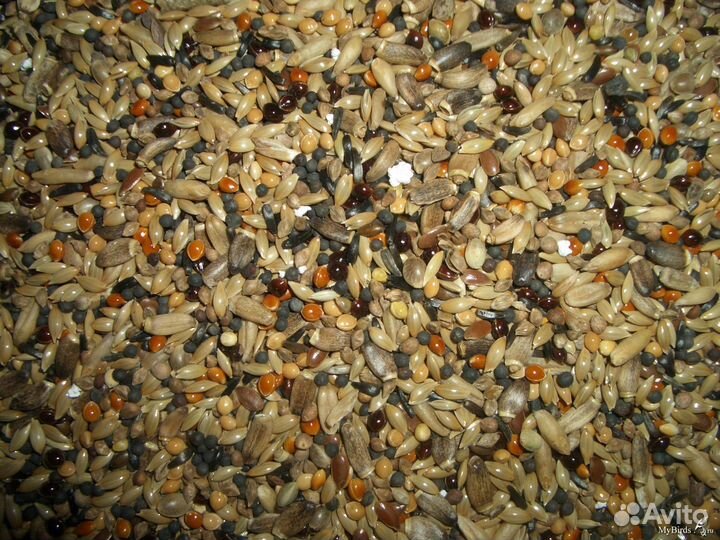 Разнотравье.Просо.Отсев.Дикорос.Семечки.Рапс