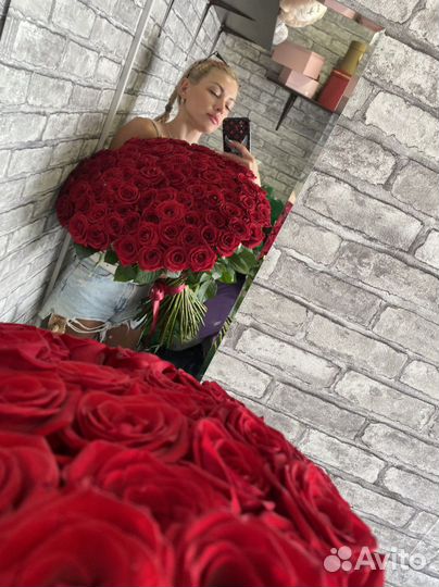 51 роза 101 роза