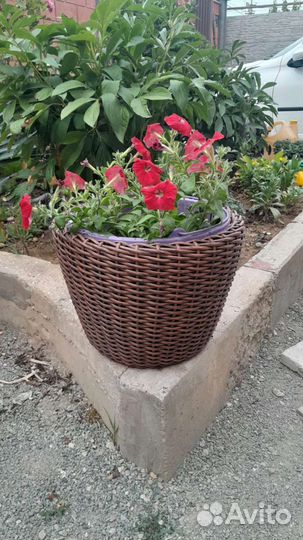 Кашпо из ротанга