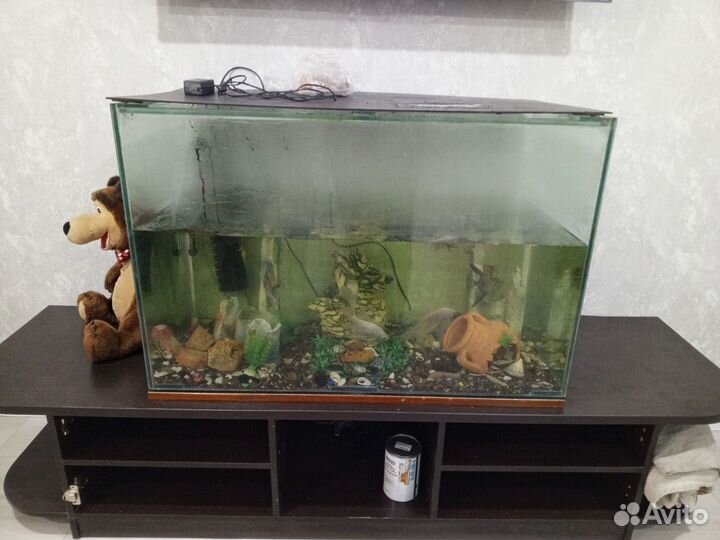 Аквариум