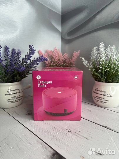 Яндекс станция алиса миди