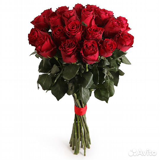 Роза Rhodos Премиум 50 см