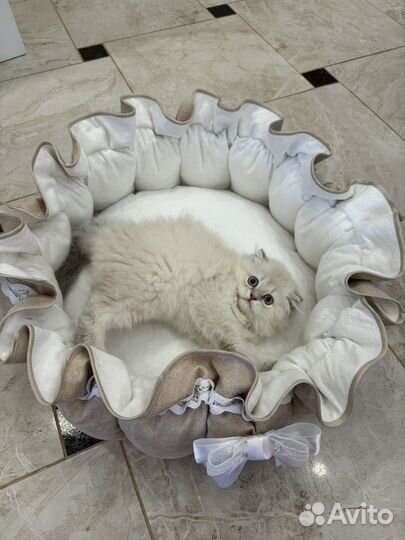 Лежанка для собак и кошек