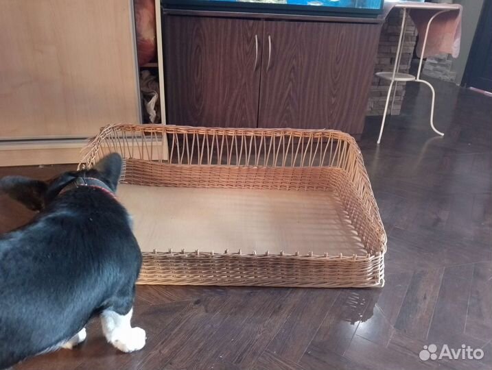 Лежанка для большой собаки бу