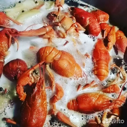 Живые и варёные раки