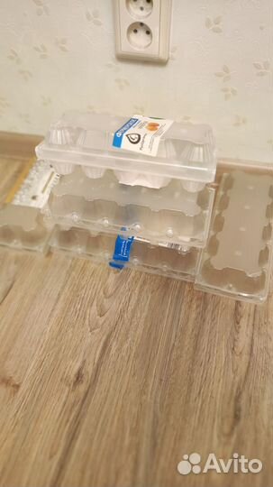 Пластиковые лотки для яиц 25 штук