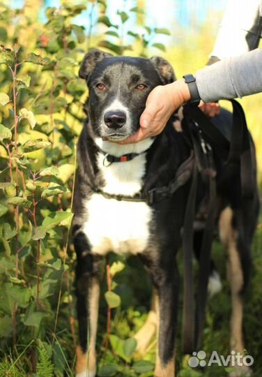 Скромная Магда