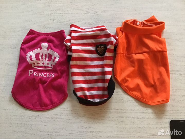 Одежда для собак мелких пород