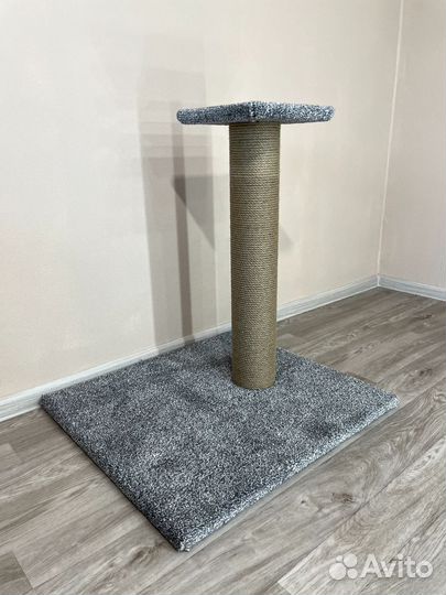 Когтеточка для кошек. Анна