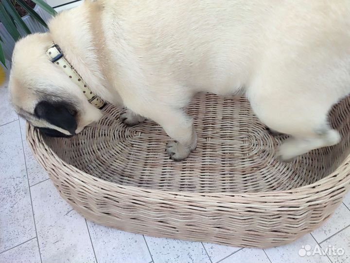 Лежанка для собаки, кошки. Плетёная