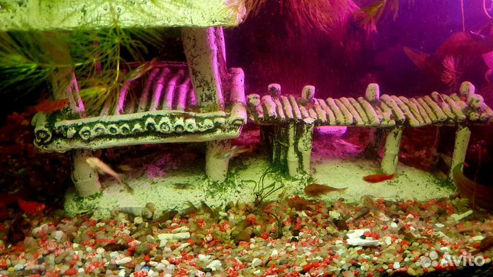 Аквариум красивый 65 л с таймером