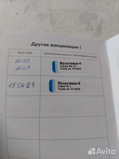 Щенки ротвейлера