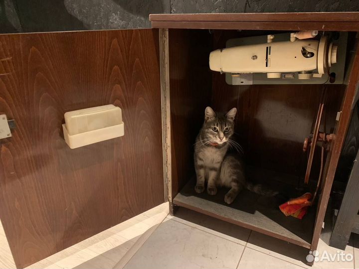 Швейная ножная машинка Veritas Веритас в тумбе