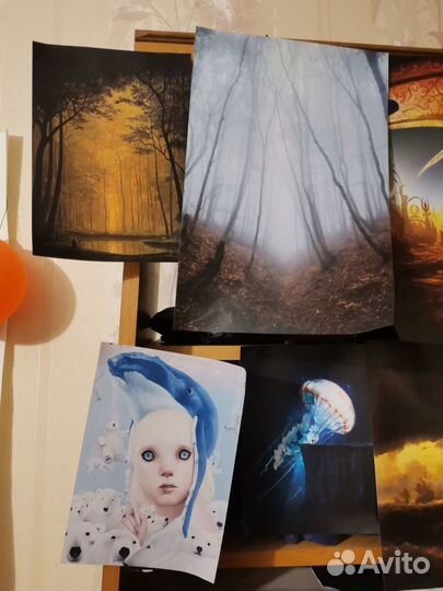 Фото картины, постеры