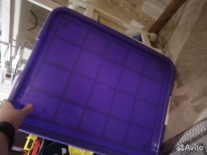 Лоток
