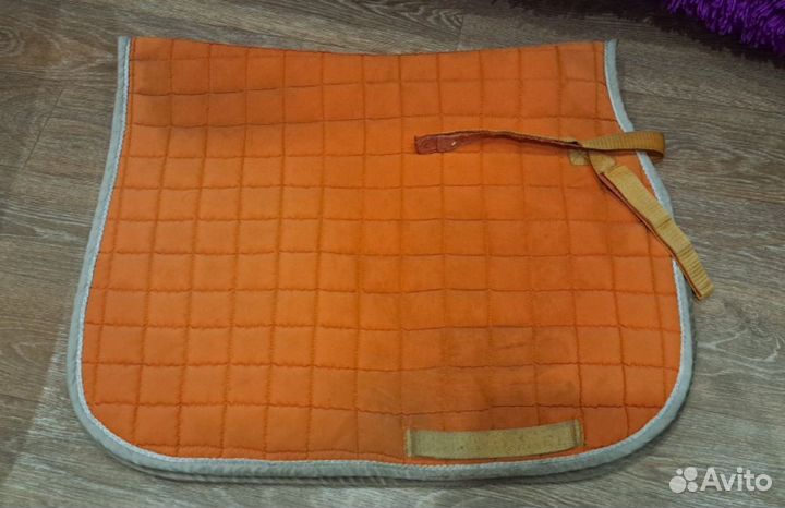 Амуниция для конного спорта для лошади