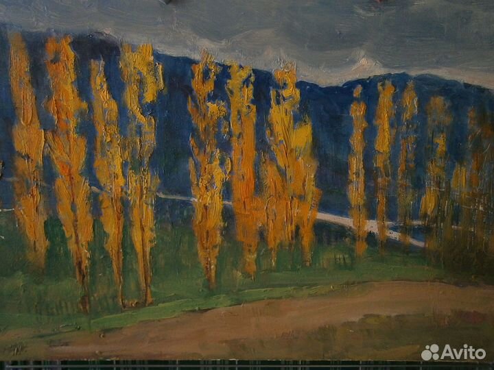 Васильевка аллея тополей