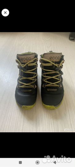 Ecco biom gore tex