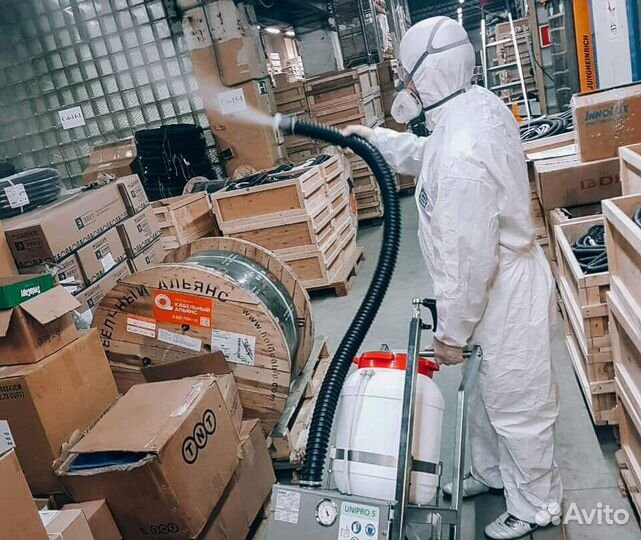 Уничтожение клопов, тараканов, мышей