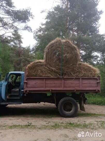 Вывоз мусора, доставка дрова