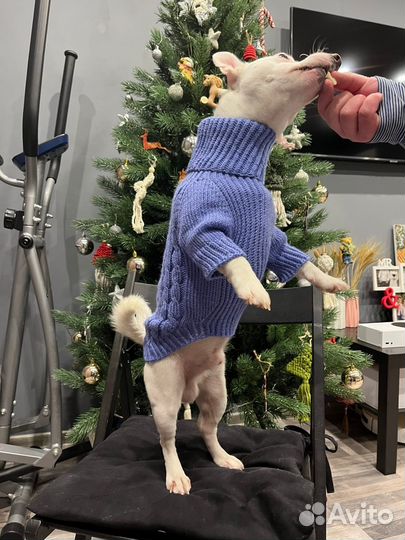 Шапочки, свитерки, платьица