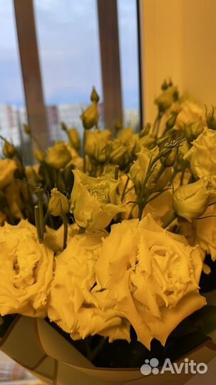 Цветы кустовые розы