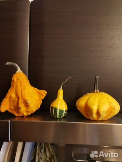 Для украшения интерьера тыквы