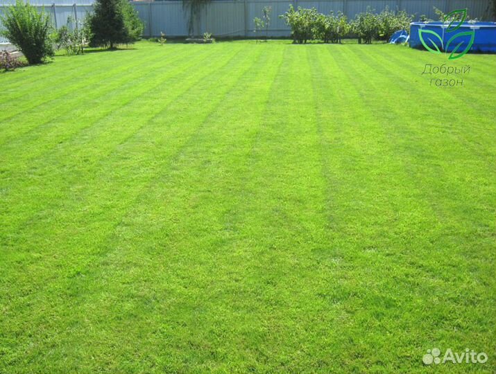 Рулонный газон