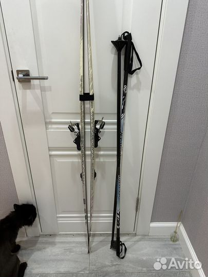 Лыжи беговые с палками
