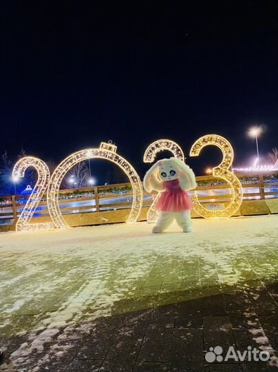 Зайка. Жорик. Стас Михайлов. Аниматор Красноярск