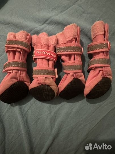 Блтиночки for my dogs р.1