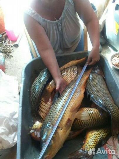 Рыбалка и отдых