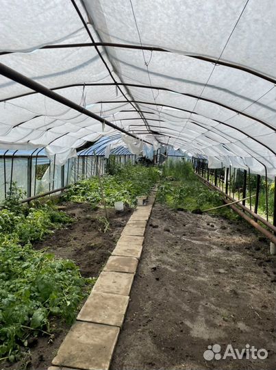 Каркас теплицы бу