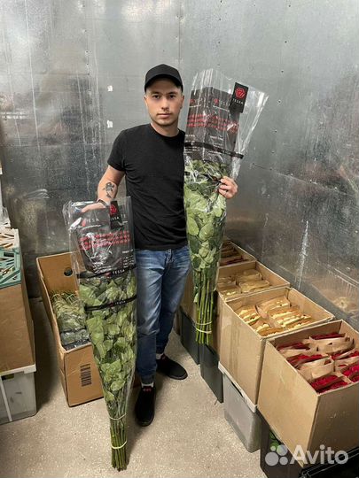 Прямые поставки от теплицы. Роза На выбор от 15 шт