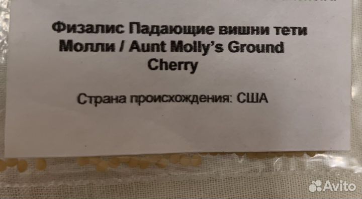 Семена физалиса Падающие вишни тети Молли