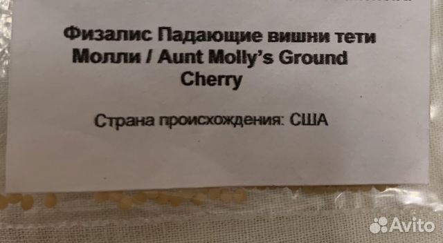 Семена физалиса Падающие вишни тети Молли