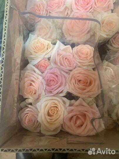 Цветы розы и букеты с доставкой