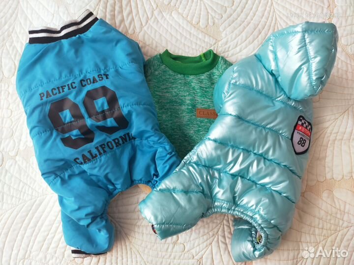 Одежда для маленькой собачки