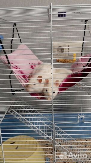 Клетка для грызунов