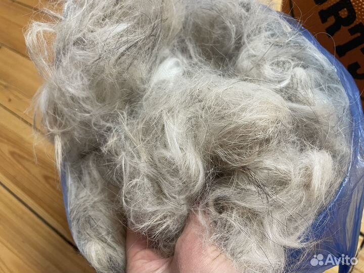 Пакет шерсти от домашней собаки