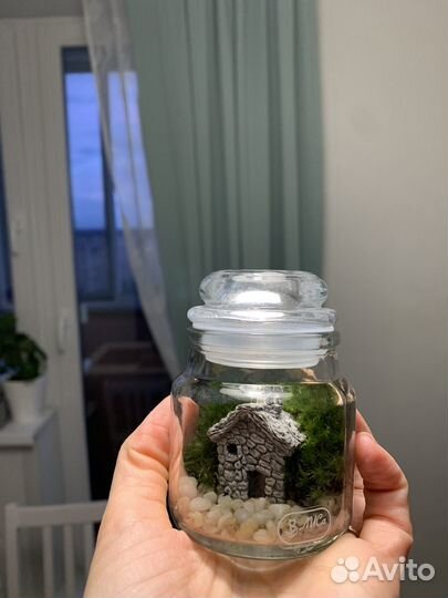 Флорариум, мозариуи, мини