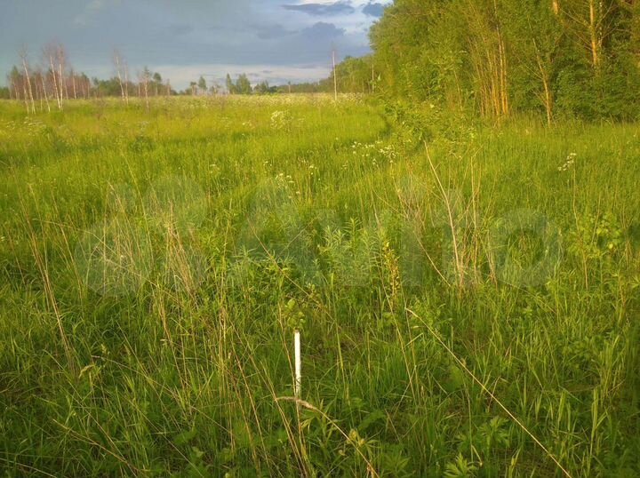 Участок 25 сот. (ИЖС)