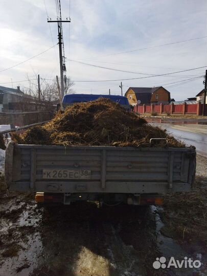 Навоз коровий