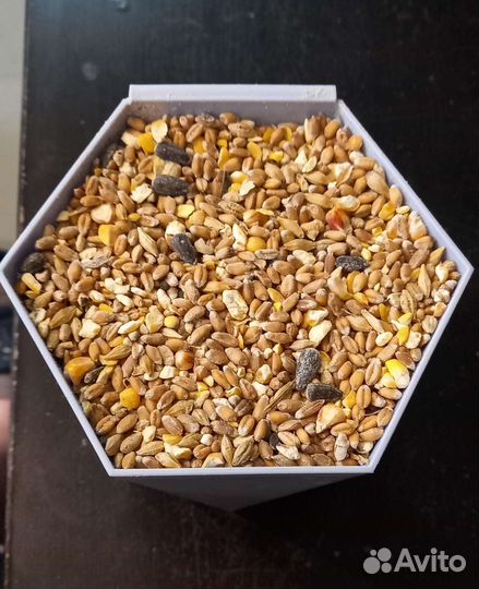 Зерносмесь,корм для птиц и грызунов