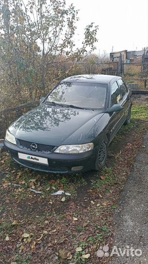 Opel Vectra 1.6 МТ, 1998, 300 000 км